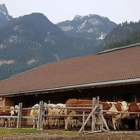 Haidacherhof